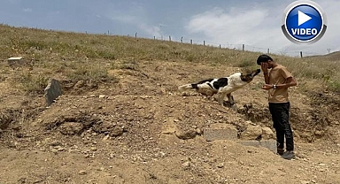  Mezar başında vefa nöbeti