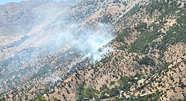 Orman ve arazi yangınları söndürüldü
