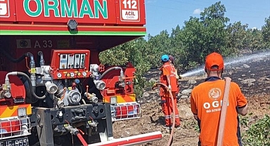 Ormanlık alan cayır cayır yandı!