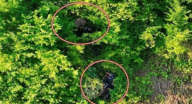 Ormanda kaçak göçmen avı!