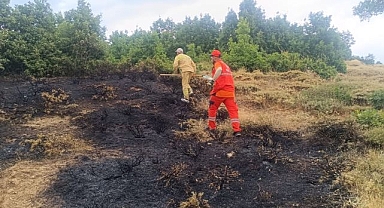 Ormanlık alanda çıkan yangın söndürüldü