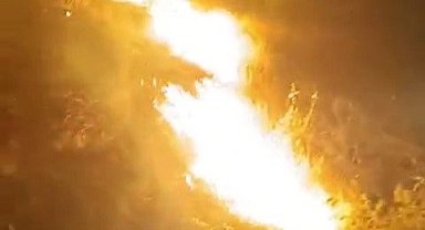 Ormanlık alanda korkutan yangın