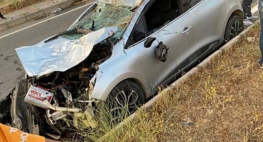 Otomobil ineğe çarptı!