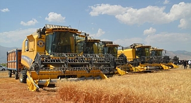 Ovada hububat hasadı başladı