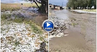 Sağanak sele döndü! Evler araziler sular altında kaldı