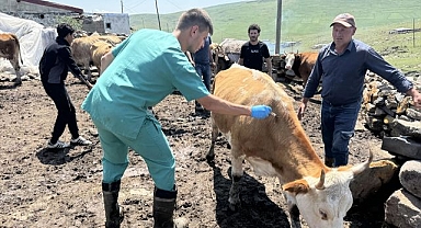 Şap ile mücadelede ekipler seferber oldu