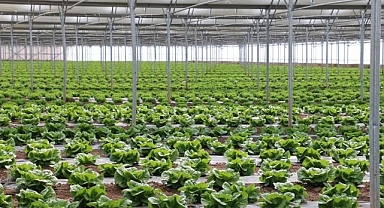 ‘Sera Üssü' olma yolunda ilerliyor