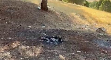 Sorumsuzluk yine az kalsın felaket getiriyordu