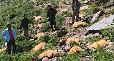 Sürü psikolojisine kurban gittiler