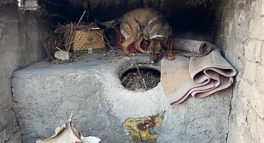 Tandırda uyuşturucu ele geçirildi