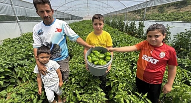 Tescilli bibere devlet desteği