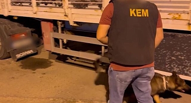 Tırın gizli bölmesinde esrar ele geçirildi