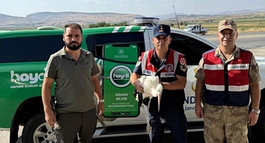 Trafik ekiplerinin radarına yakalandı