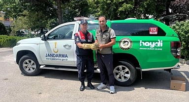 Yaralı yavru baykuşa jandarma şefkati