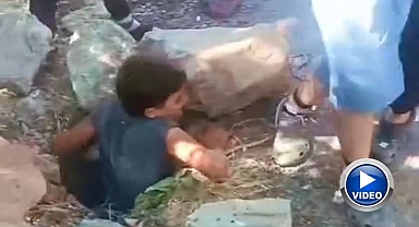 Yavru kedi çocukların dikkati sayesinde kurtuldu