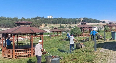 Yaz aylarında yeşil alanlara özel bakım