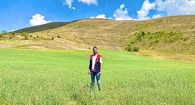 Yem bitkileri için saha çalışmaları sürüyor