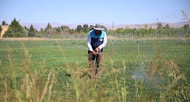 Yerli üretimle yeşil alan seferberliği
