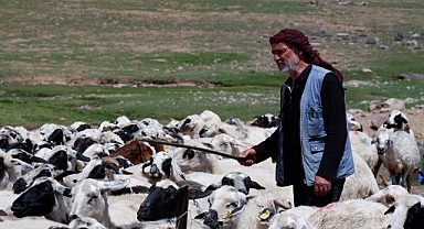 Yetiştiricilere 127,7 milyon TL kredi desteği