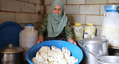 Yüksek rakımda otlu peynir üretiyorlar