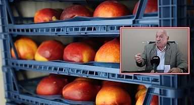 Yüzyılın don olayı sonrası fırsatçılık tepkisi