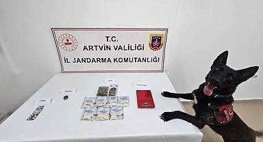 Zehir tacirlerine geçit vermediler