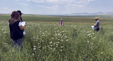  Ziraat mühendisleri ürün tespiti için sahada