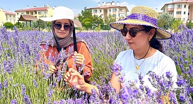 10 yılda 300 tür bitki yetiştirildi