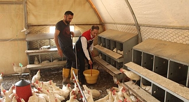 30 tavukla başladı bin 700 tavuğa ulaştı
