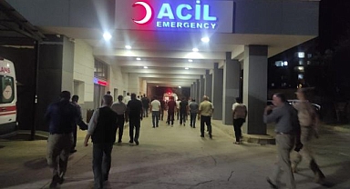 Yaprak kesmek isterken canından oldu