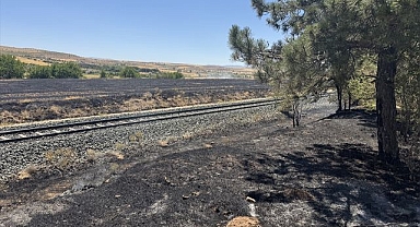 Anızda çıkıp ağaçlık alana sıçrayan yangın söndürüldü