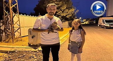 Baba-kız yaralı kediyi hayata döndürdü