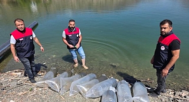 Baraj Gölü'ne 50 bin yavru balık bırakıldı