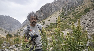 Bitkiler için Anadolu'yu gezen akademisyenden 5 yeni tür