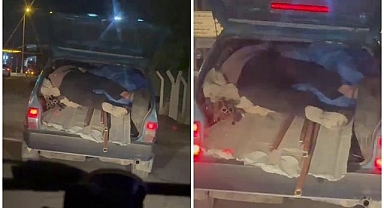 Böyle yolculuk görülmedi! Yok artık dedirten görüntü...