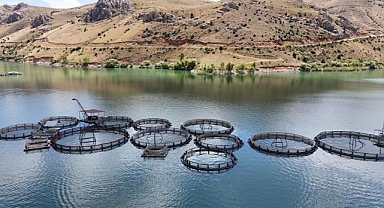 Denizi olmayan il balıkçılıkta iddialı...