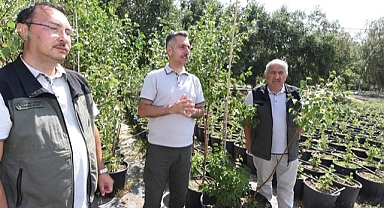 Erzurum'un orman varlığında artış