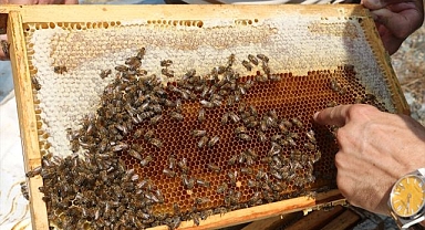 Geven balında hasat zamanı...