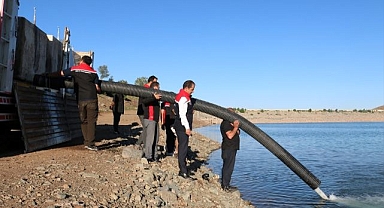 Gölet ve barajlara 200 bin sazan yavrusu bırakıldı