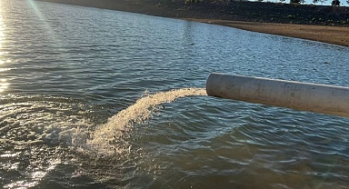 Gölete 150 bin sazan yavrusu bırakıldı