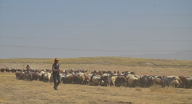 Hayvanları için tüm zorlukları göze alıyorlar