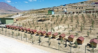 Hayvanların yaşam alanına yeşil dokunuş