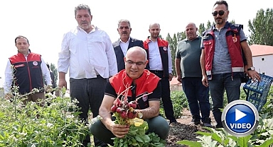 Hibeli sebze üretimi meyvesini verdi