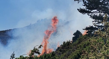 İspir'de korkutan yangın!