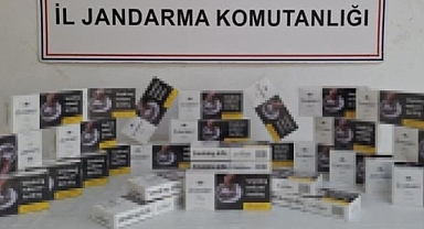 Jandarmadan kaçakçılık operasyonu: 9 gözaltı