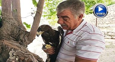 Kaya kartalı ile dostluğu görenleri şaşırtıyor