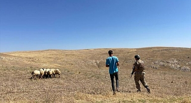 Kaybolan koyunları jandarma ekipleri bakın nasıl buldu