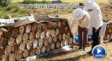 Küresel ısınma arıcıları tedirgin ediyor