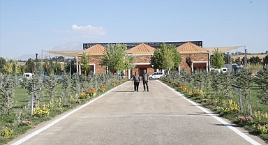 Kutlama alanına 1071 fidan dikildi