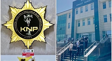 Operasyonda işyerinde Bonzai ele geçirildi